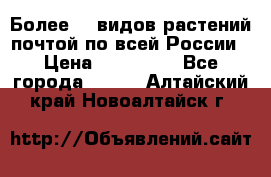 Более200 видов растений почтой по всей России › Цена ­ 100-500 - Все города  »    . Алтайский край,Новоалтайск г.